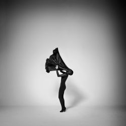IMMERSIVE SHAPES